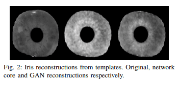 RESIST: Reconstruction of irises from templates